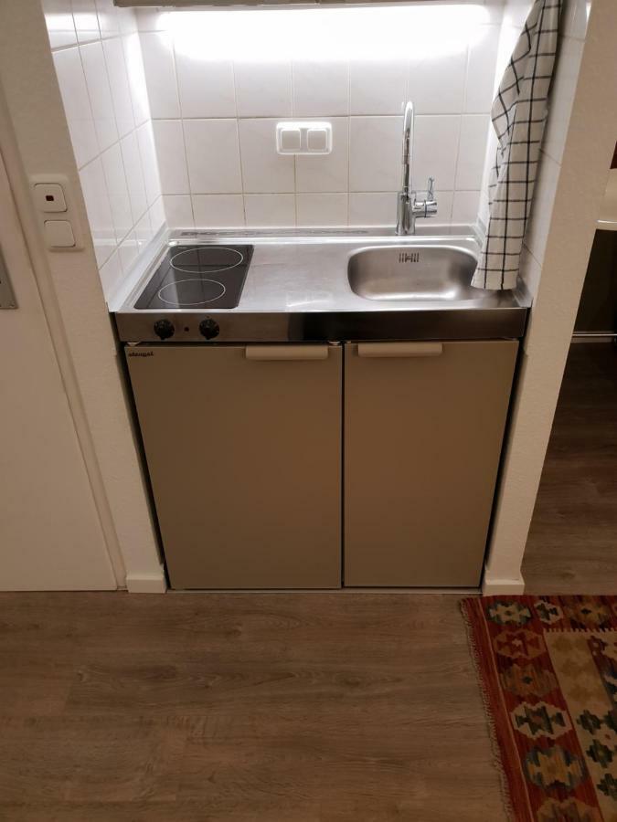 Studio Apartment In Zentraler Lage 마인츠 외부 사진